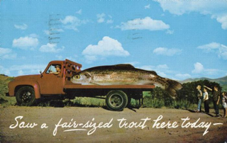 Illustration for article titled Tall Tale Fishing Postcards, The Ultimate Humblebrag Of The Early 1900s